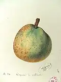 File:20doyennedemerode-Alphonse_Mas,1865.JPG