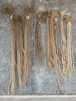 8. There they are sorted by colour grades, with lighter coloured fibres being more expensive due to their rarity.[18]