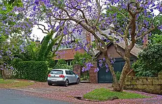 Residential home, Springdale Road, Killara