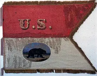 Guidon used by Company A