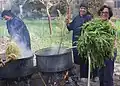 Ramses Wissa Wassef Art Centre annual wool dyeing with reseda