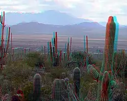 This image, viewed with red and cyan anaglyph 3D glasses, will appear to be in three dimensions. 3D red cyan glasses are recommended to view this image correctly.