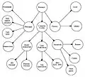 Classification Schematics