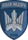 414th Marine Strike UAV Battalion