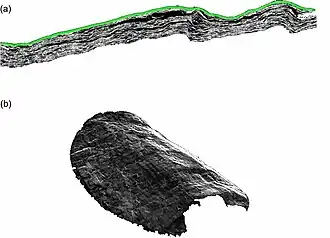 PHerc.110 image acquired using micro-CT