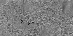 Brain terrain being formed, as seen by HiRISE under HiWish program Arrows point to locations where the brain terrain is starting to form.