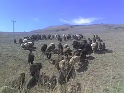 Bulanık countryside near Çataklı