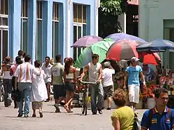 Flower vendors' stalls in Parque Vidal