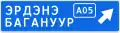 Advance directions