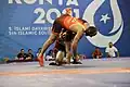 Men's freestyle 97 kg