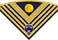 Rank insignia for a colonel on hat (Hatt m/1910-14) in the army.