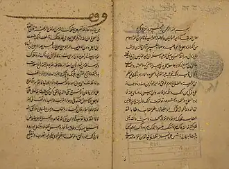 Manuscript excerpts