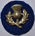 9th (Scottish) Division[10]