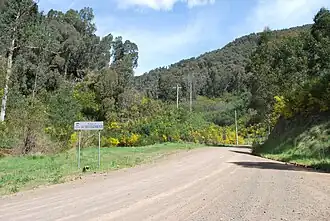 Entering A1 Mining Settlement from Jamieson