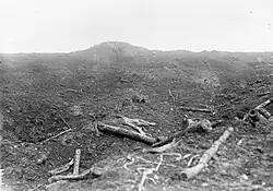 A black and white photograph of a mound