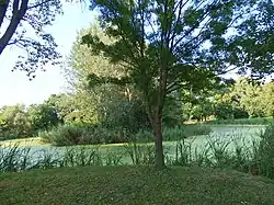 Landscape near Pilis