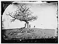 A Lonely Grave, Union Soldiers grave.[18]