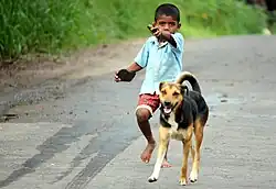 A dog and a boy in Sri Lanka