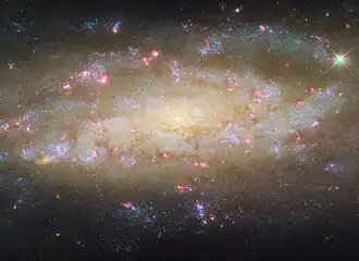 A spiral galaxy. It shines brightly at the centre, and most of its disc also glows in warm colours. Its two spiral arms, which wind outwards from the centre, are made up mostly of large patches of bright blue specks. They also contain thin, reddish clouds of dust, and bright pink bubbles of glowing gas, where stars are forming. Distant galaxies can be seen around the galaxy as small orange spots, on a dark background.