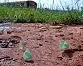 Mud-puddling, Lagos, Nigeria