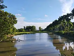 A pond in Harinakunda upazila