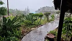 A heavy rainstorm falling over a tropical coastal lodge surrounded by lush vegetation in Mozambique