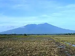From San Jose, Camarines Sur