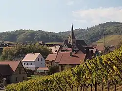 A view of Niedermorschwihr