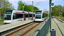 Two Tango tram vehicles at an island platform, oblique view