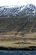 Abandoned farmstead in Öxnadalsheiði, November 2007
