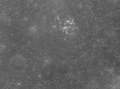 Abu Nuwas at high sun angle. Note bright features near center which are hollows.