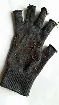 Acaena novae-zelandiae seeds on a glove, demonstrating their ability to attach easily to articles of clothing.