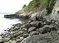 The rocks between the point and St Heliers Bay. Layers of sedimentary rock strata.