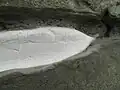 Close up of white siltstone in cliff