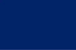 Admiral's rank flag of Franklin Buchanan, flown from CSS&nbsp;Virginia during the first&nbsp;day of the Battle of Hampton Roads and also flown from the CSS&nbsp;Tennessee during the Battle&nbsp;of Mobile&nbsp;Bay