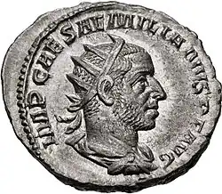 Grey coin