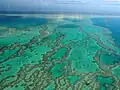 Great Barrier Reef in Australia, an endangered natural wonder.