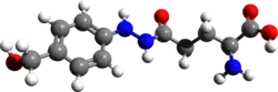 Ball and stick model of agaritine ((2S)-2-amino)