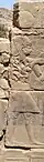 Ptolemy VIII