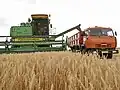 Harvesting in Volgograd Oblast. Harvester Don-1500