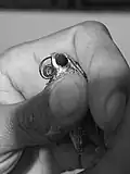 Proboscis