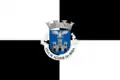 Flag of Aguiar da Beira