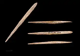 Sewing needle Magdalenian MHNT