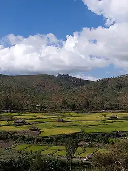 Aileu Valley