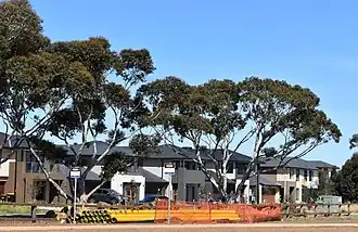 Houses in the Woodlea subdivision, October 2018