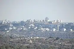 al-Zaitounah