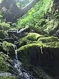 A mountain stream on Raspberry Island