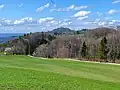 Hiking trail from Felsenegg to Uetliberg as seen near Balderen.