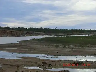 Alexandra River, at Stokes, 2013