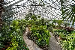 Allan Gardens greenhouse